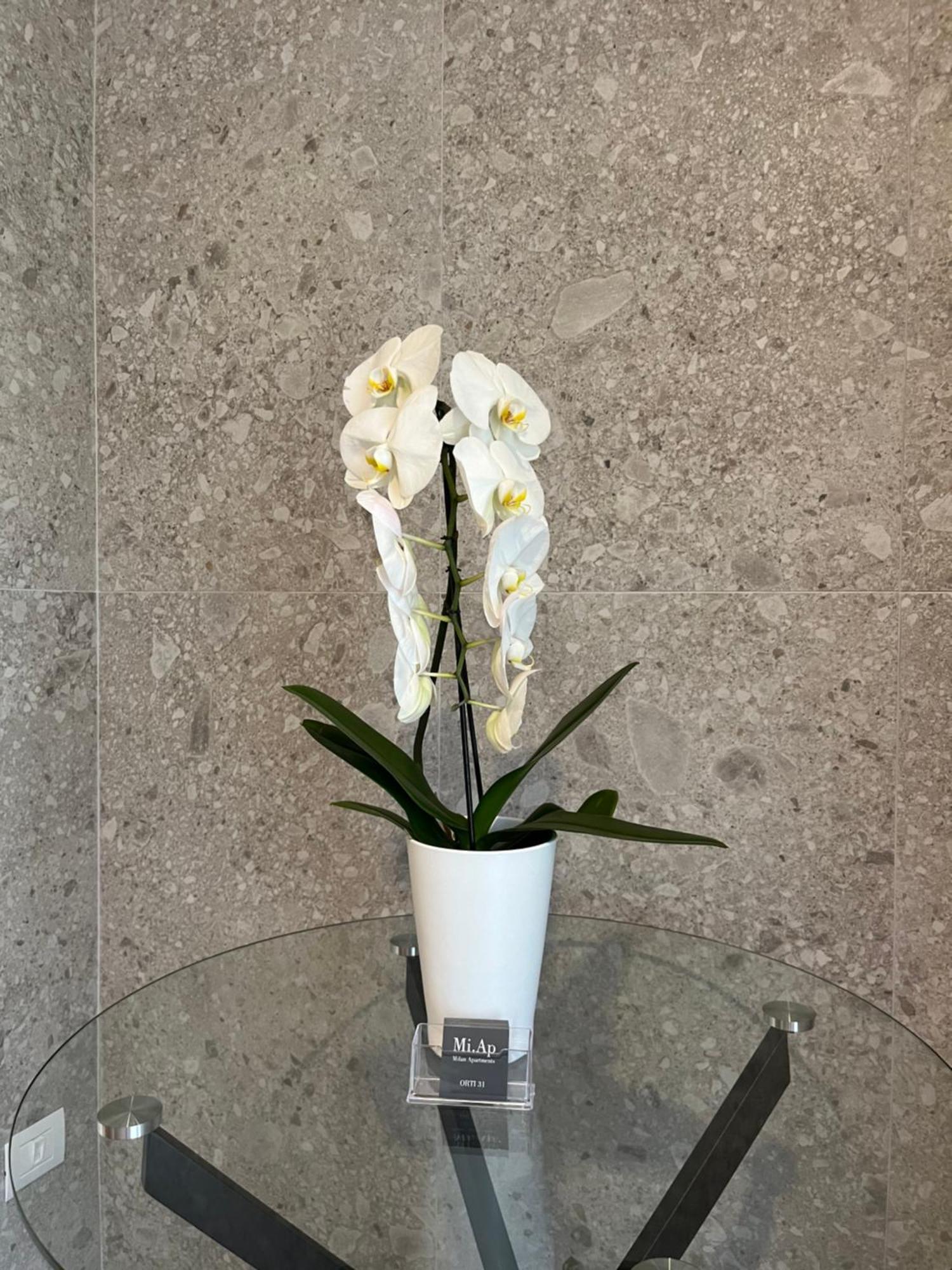Miap Orti 31 Daire Milano Dış mekan fotoğraf